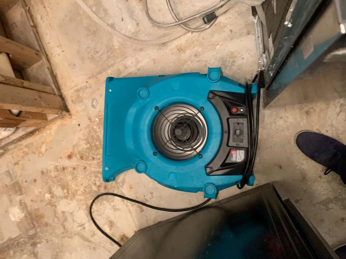 Air mover drying equipment for Mold Remediation & Removal in Lake Elmo