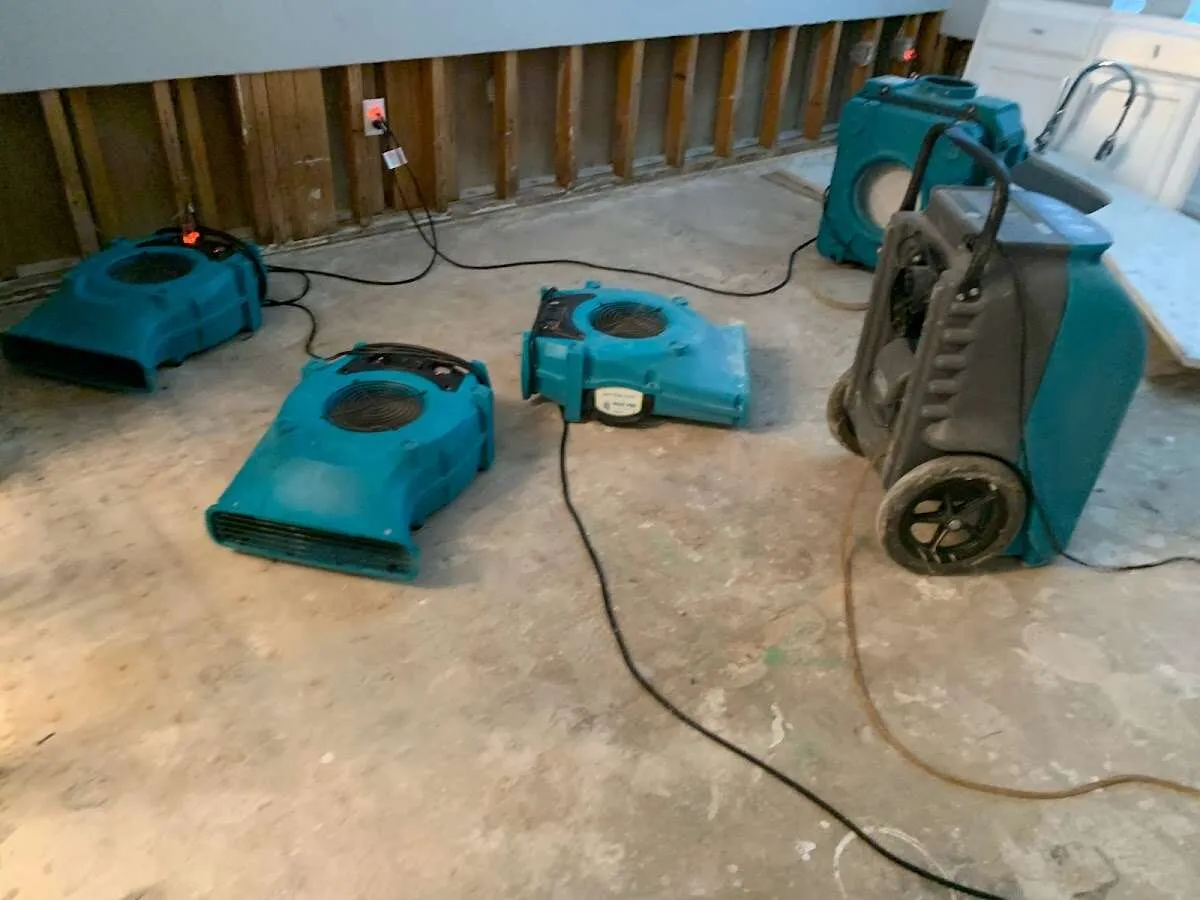 Water Damage Restoration services in Lake Elmo, MN